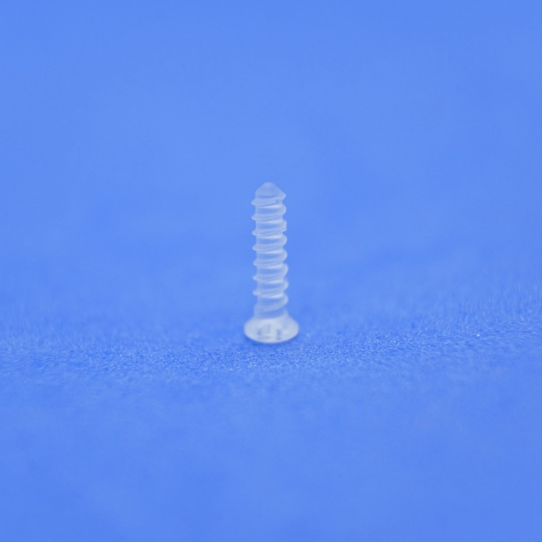 Absorbable Bone Screws